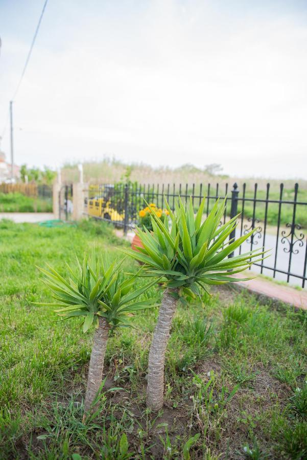Garden Suite Néa Péramos Exteriér fotografie