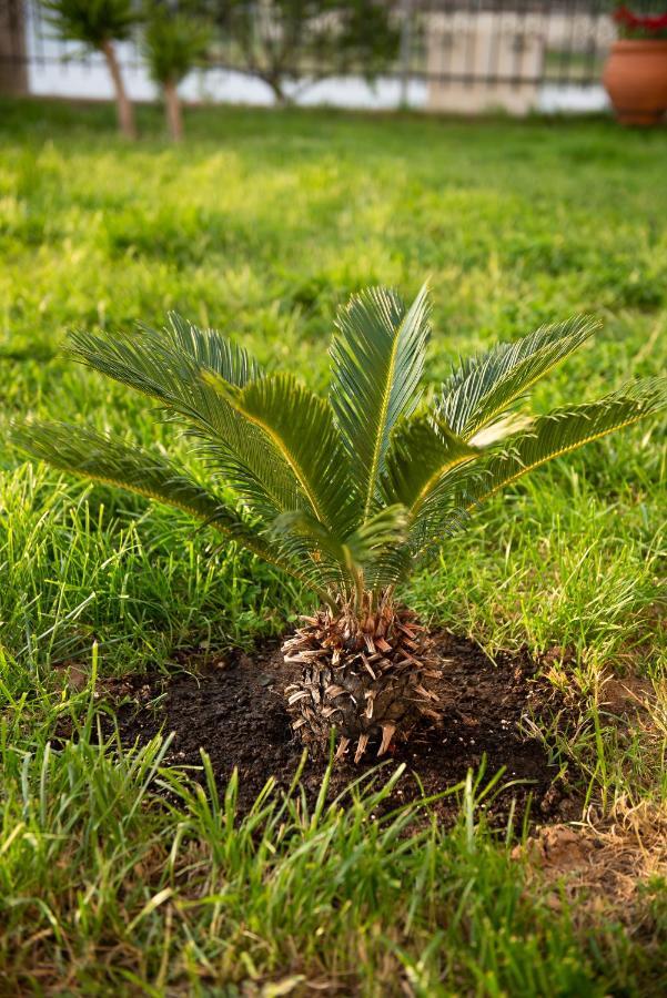 Garden Suite Néa Péramos Exteriér fotografie